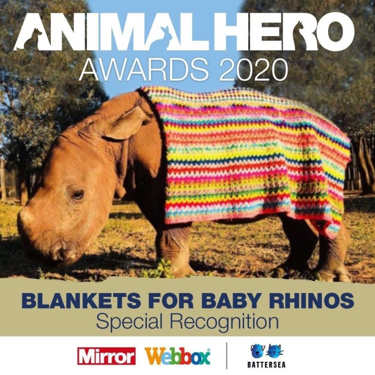 animal hero award